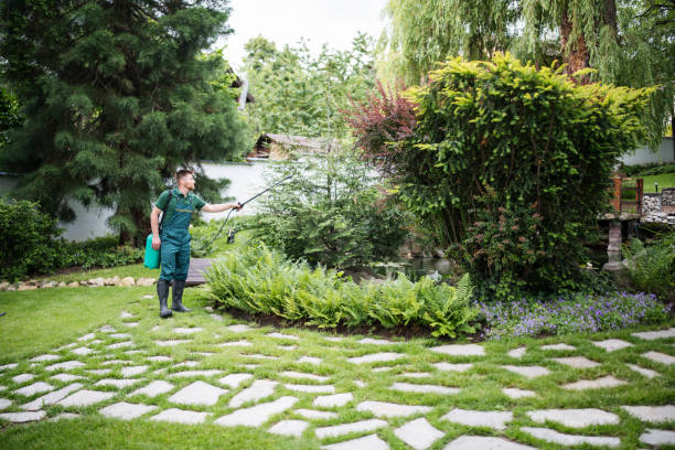 Best Pest Control for Restaurants  in Covelo, CA