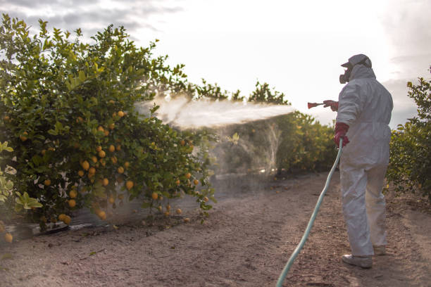 Best Local Pest Control Services  in Covelo, CA