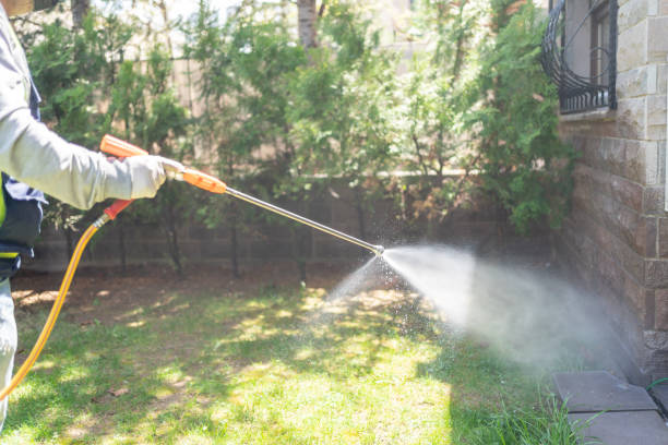 Best Bird Control  in Covelo, CA